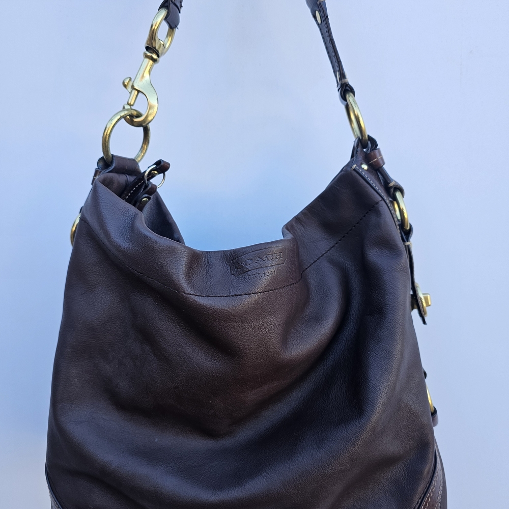 Large Coach Carly Brown Leather Hobo Bag